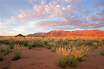 Namibia_Brandberg nahe Uis